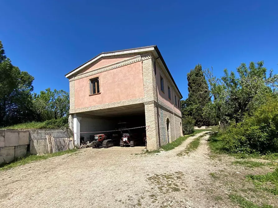 Immagine 71 di Agriturismo in vendita  in Contrada Fiorano a Loreto Aprutino