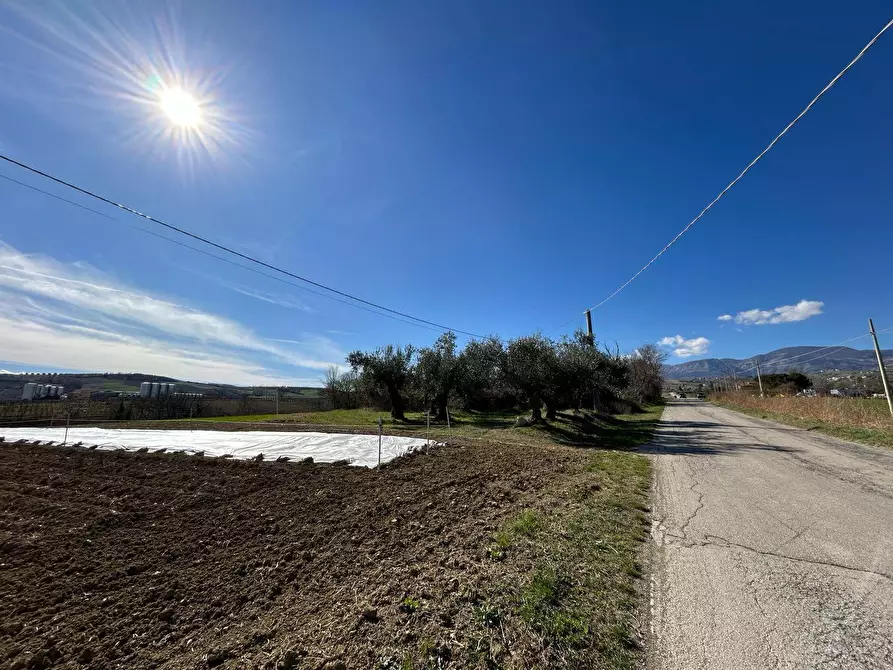 Immagine 34 di Casa indipendente in vendita  in Contrada Scannella Inferiore 1 a Loreto Aprutino