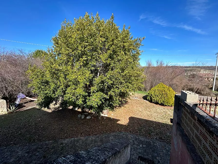 Immagine 36 di Casa indipendente in vendita  in Contrada Scannella Inferiore 1 a Loreto Aprutino