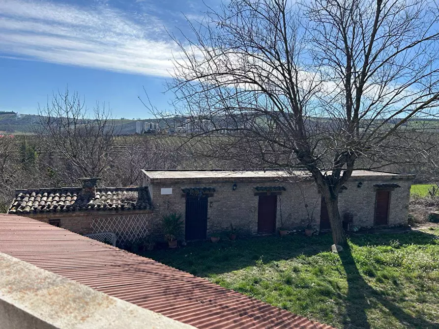 Immagine 43 di Casa indipendente in vendita  in Contrada Scannella Inferiore 1 a Loreto Aprutino