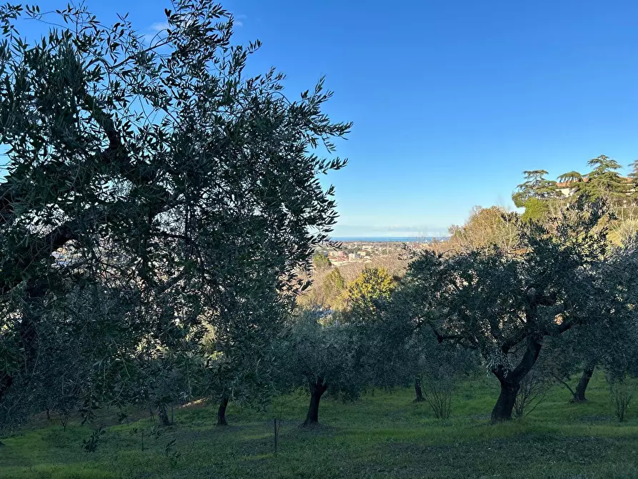 Immagine 4 di Casa indipendente in vendita  in Strada Comunale della Fontana 6 a Montesilvano