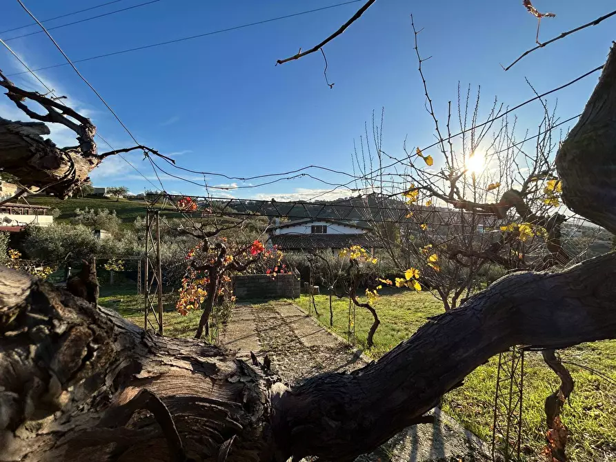 Immagine 19 di Casa indipendente in vendita  in Strada Comunale della Fontana 6 a Montesilvano