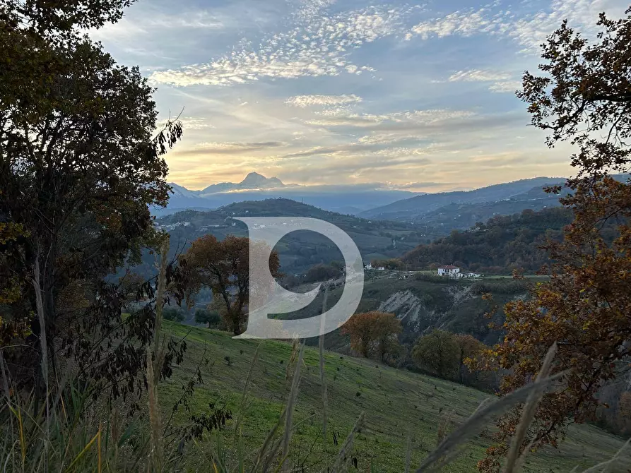 Immagine 3 di Rustico / casale in vendita  in C.da Marciano a Basciano