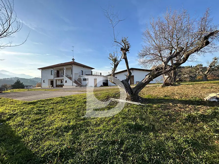 Immagine 23 di Rustico / casale in vendita  in C.da Marciano a Basciano