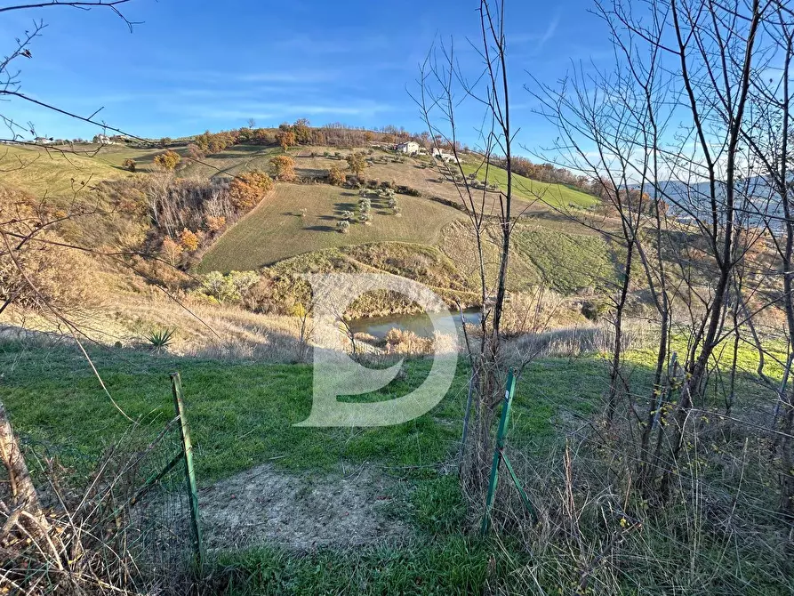 Immagine 24 di Rustico / casale in vendita  in C.da Marciano a Basciano