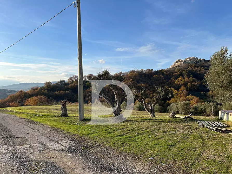 Immagine 29 di Rustico / casale in vendita  in C.da Marciano a Basciano