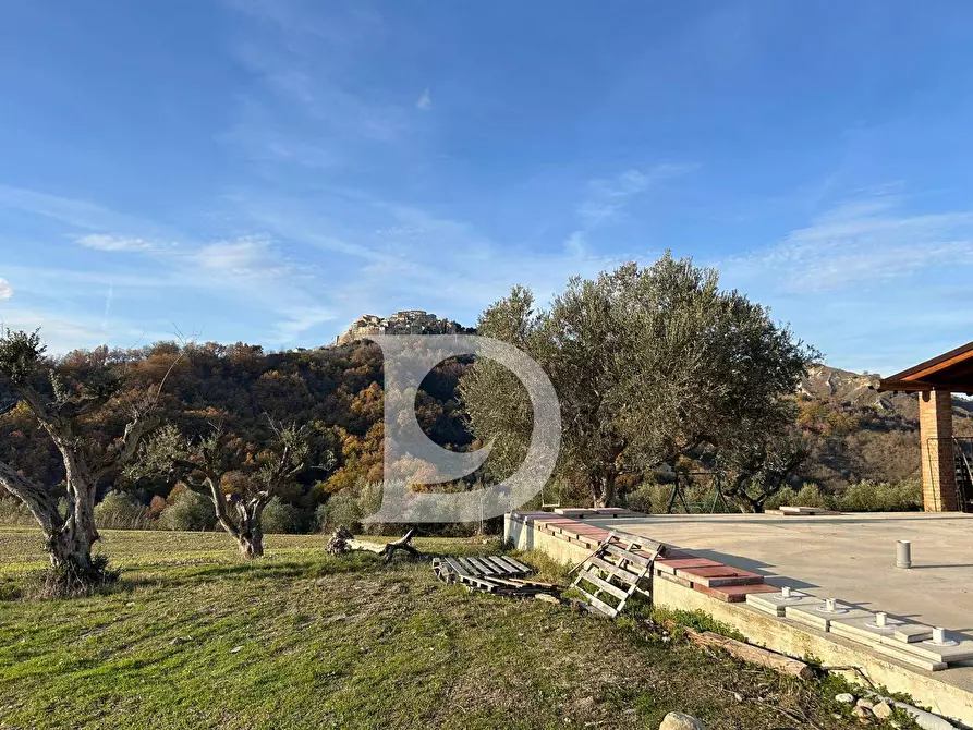 Immagine 30 di Rustico / casale in vendita  in C.da Marciano a Basciano