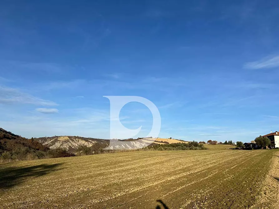 Immagine 32 di Rustico / casale in vendita  in C.da Marciano a Basciano