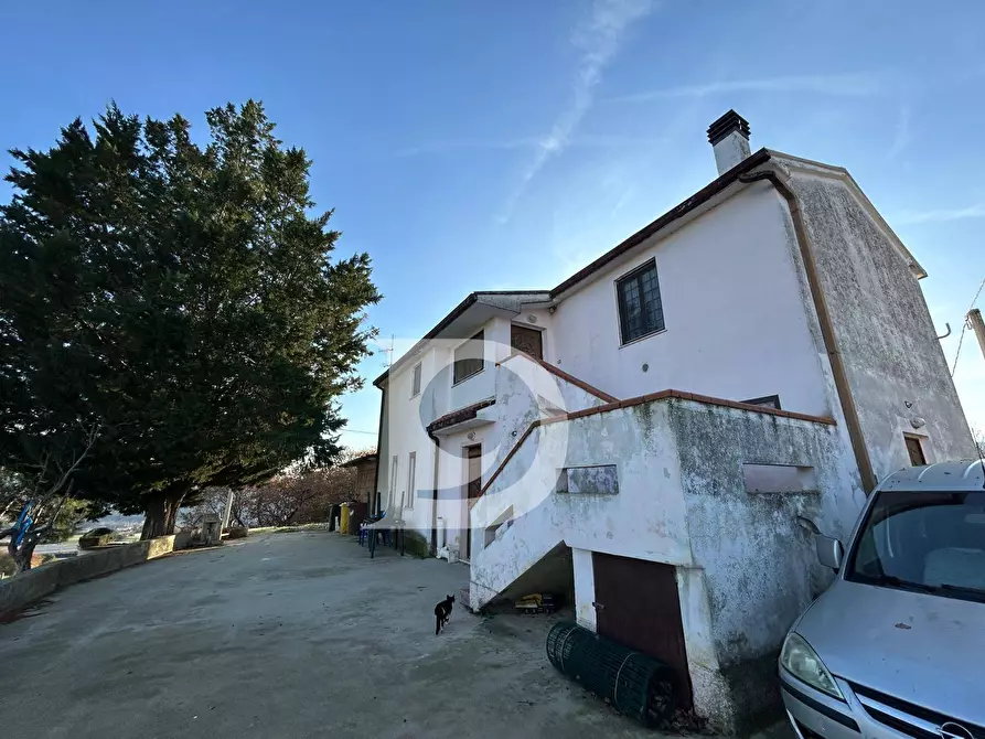 Immagine 34 di Rustico / casale in vendita  in C.da Marciano a Basciano