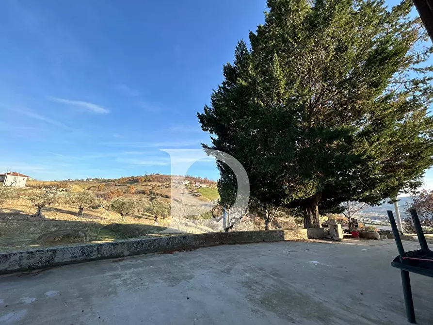 Immagine 36 di Rustico / casale in vendita  in C.da Marciano a Basciano