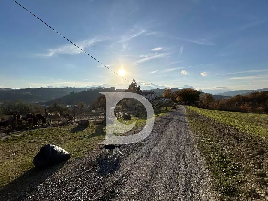 Immagine 40 di Rustico / casale in vendita  in C.da Marciano a Basciano
