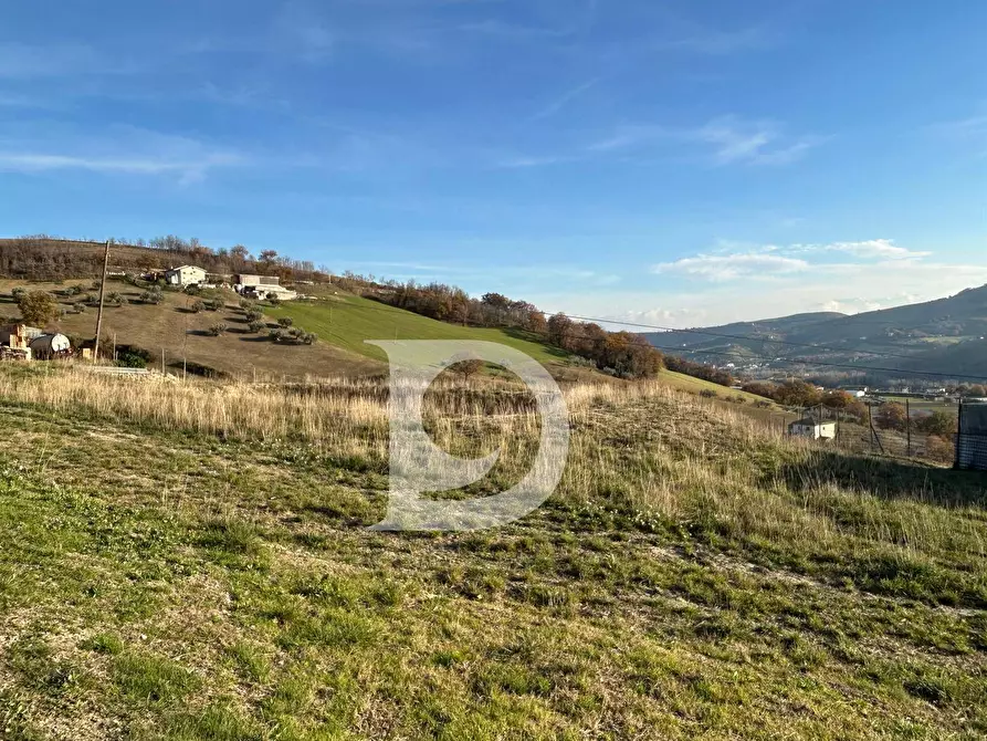 Immagine 41 di Rustico / casale in vendita  in C.da Marciano a Basciano