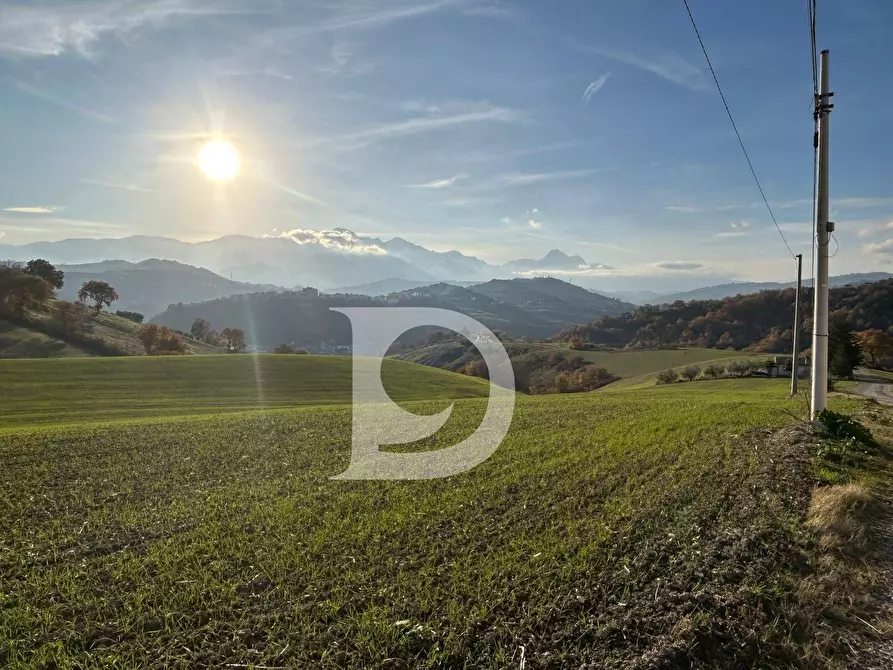 Immagine 44 di Rustico / casale in vendita  in C.da Marciano a Basciano