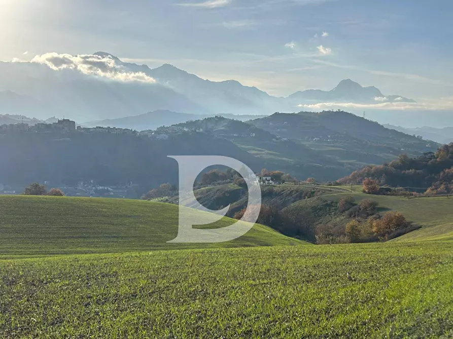 Immagine 45 di Rustico / casale in vendita  in C.da Marciano a Basciano