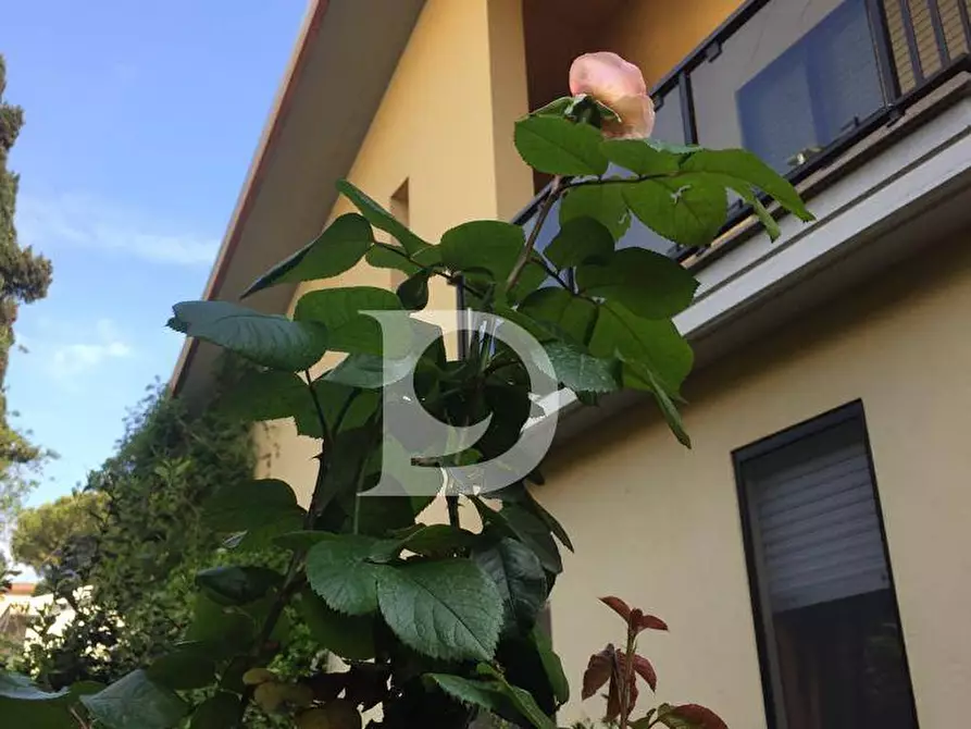 Immagine 37 di Villa in vendita  in Via Sella Di Corno a Pescara