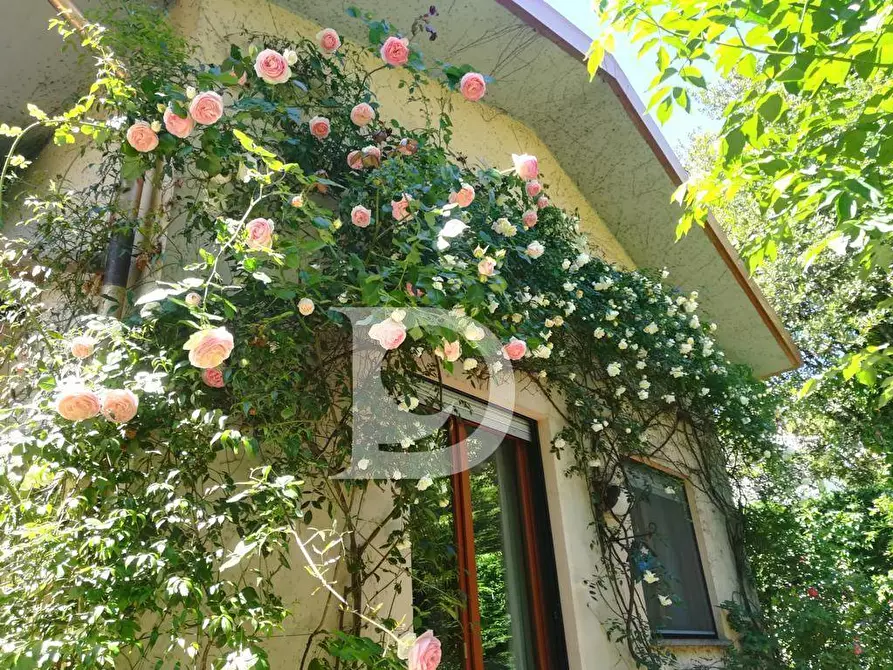 Immagine 9 di Villa in vendita  in Via Sella Di Corno a Pescara