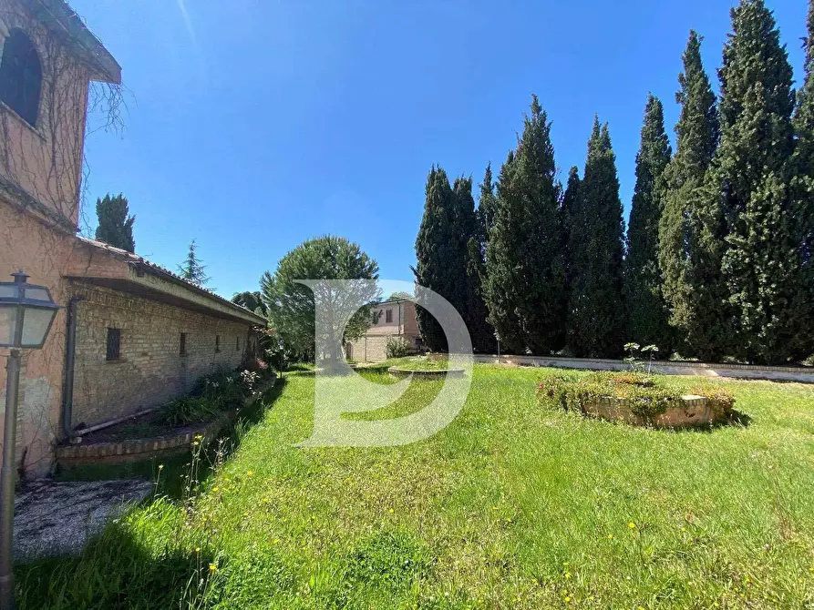 Immagine 33 di Agriturismo in vendita  in Contrada Fiorano a Loreto Aprutino