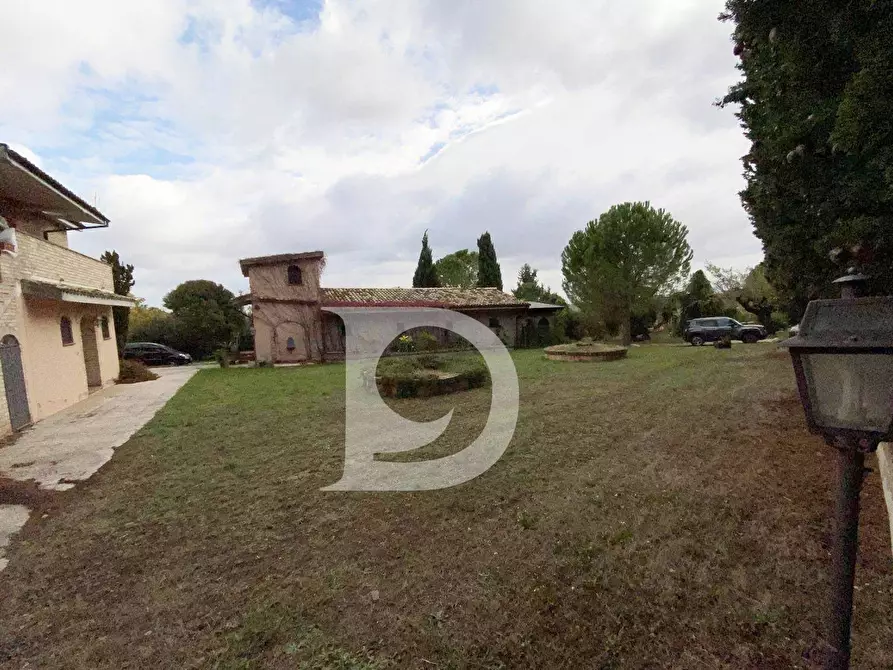 Immagine 34 di Agriturismo in vendita  in Contrada Fiorano a Loreto Aprutino