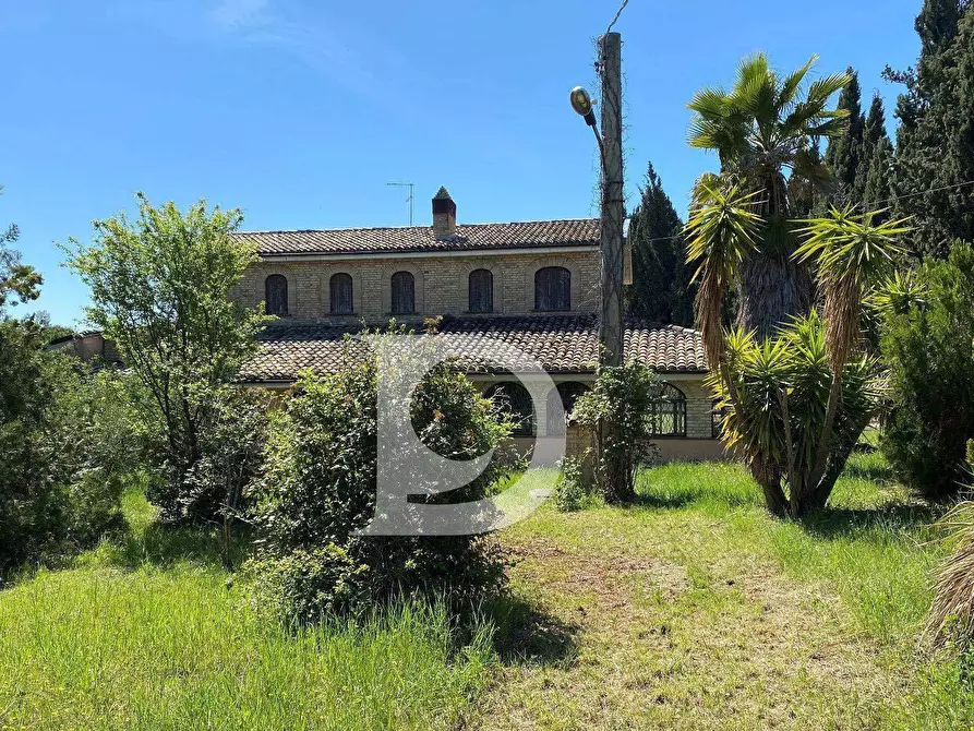 Immagine 73 di Agriturismo in vendita  in Contrada Fiorano a Loreto Aprutino