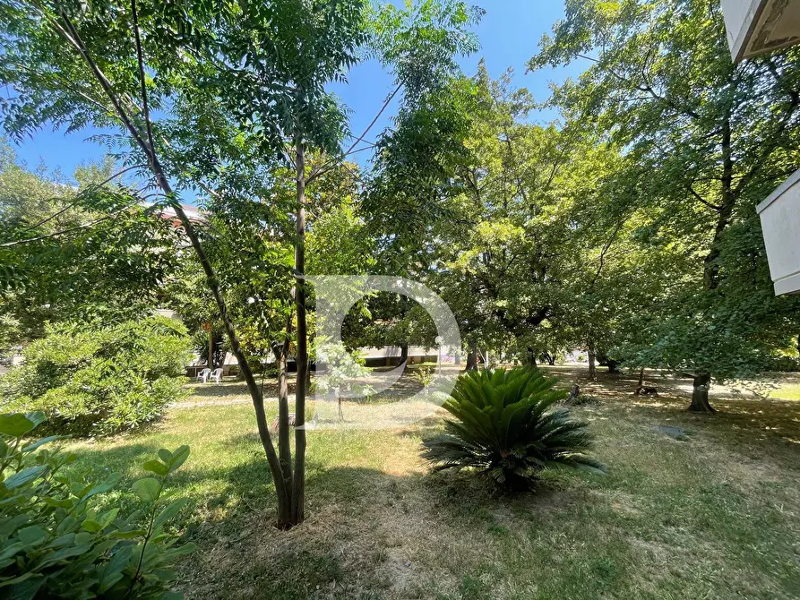 Immagine 43 di Attico in vendita  in Via Renato Paolini a Pescara