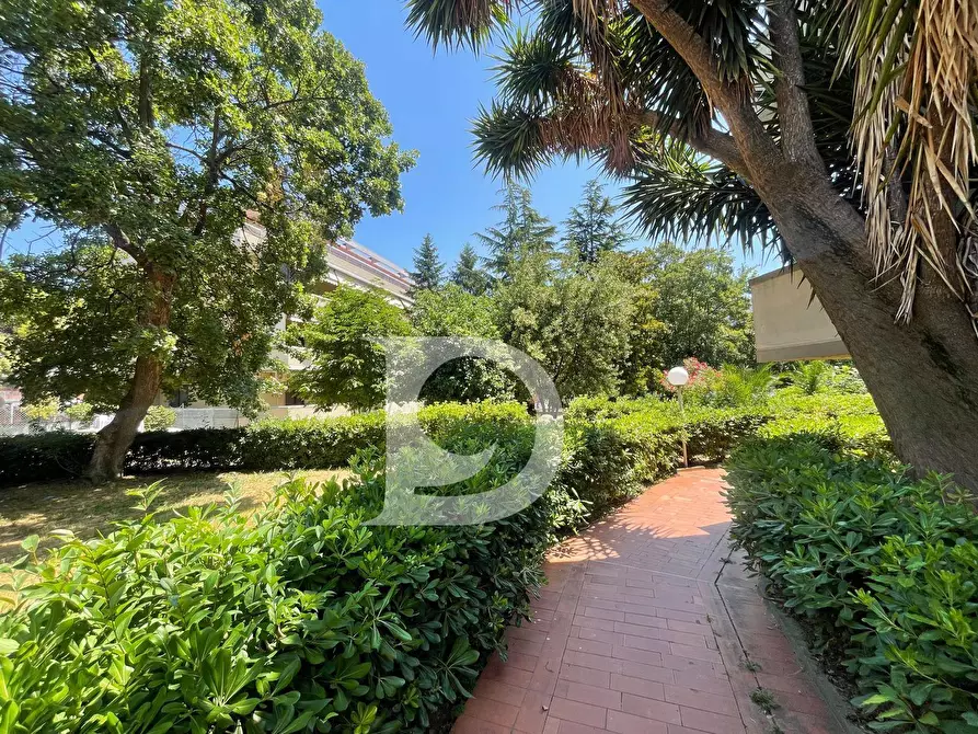 Immagine 48 di Attico in vendita  in Via Renato Paolini a Pescara