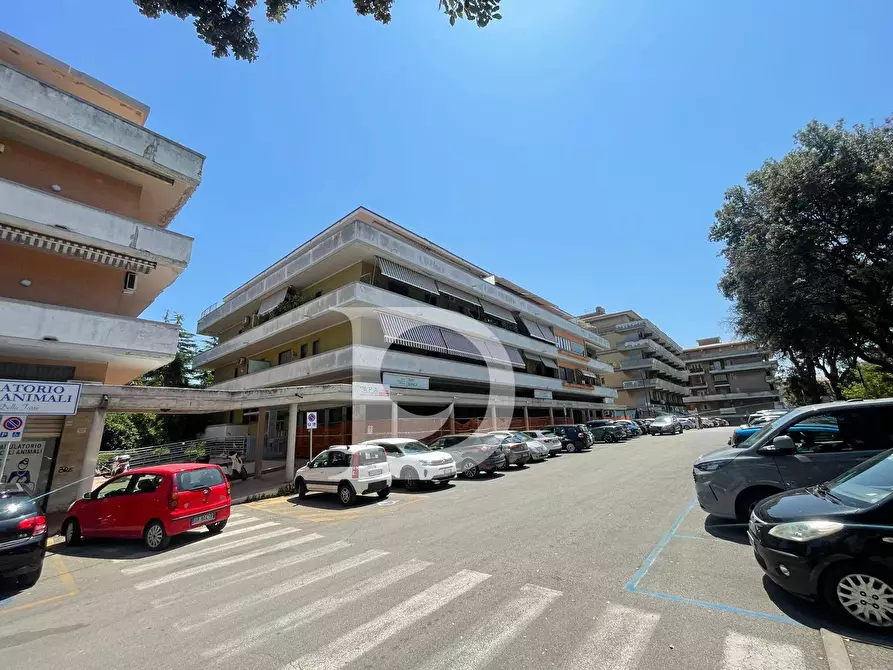 Immagine 50 di Attico in vendita  in Via Renato Paolini a Pescara