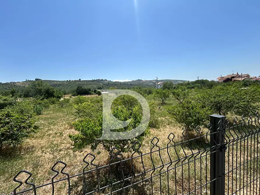 Immagine 6 di Terreno residenziale in vendita  a Collecorvino
