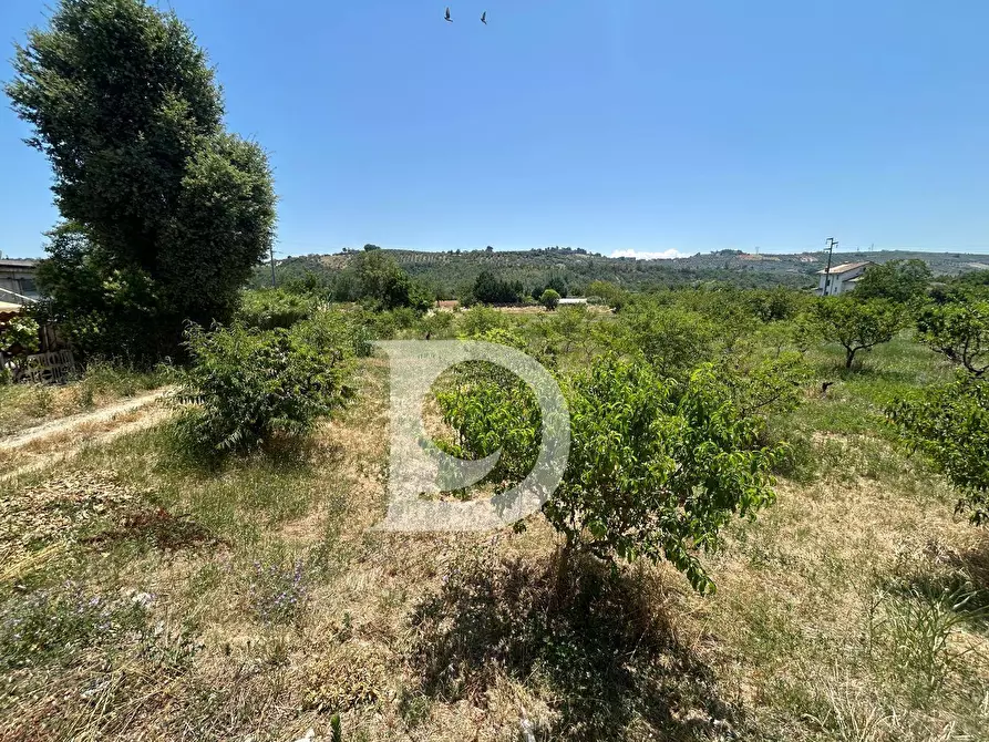 Immagine 5 di Terreno residenziale in vendita  a Collecorvino