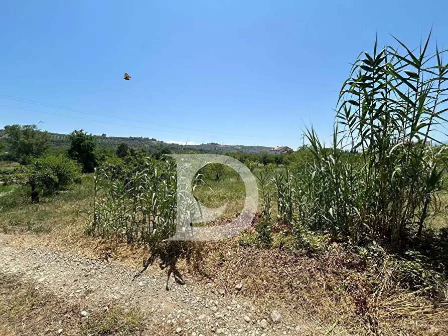 Immagine 7 di Terreno residenziale in vendita  a Collecorvino