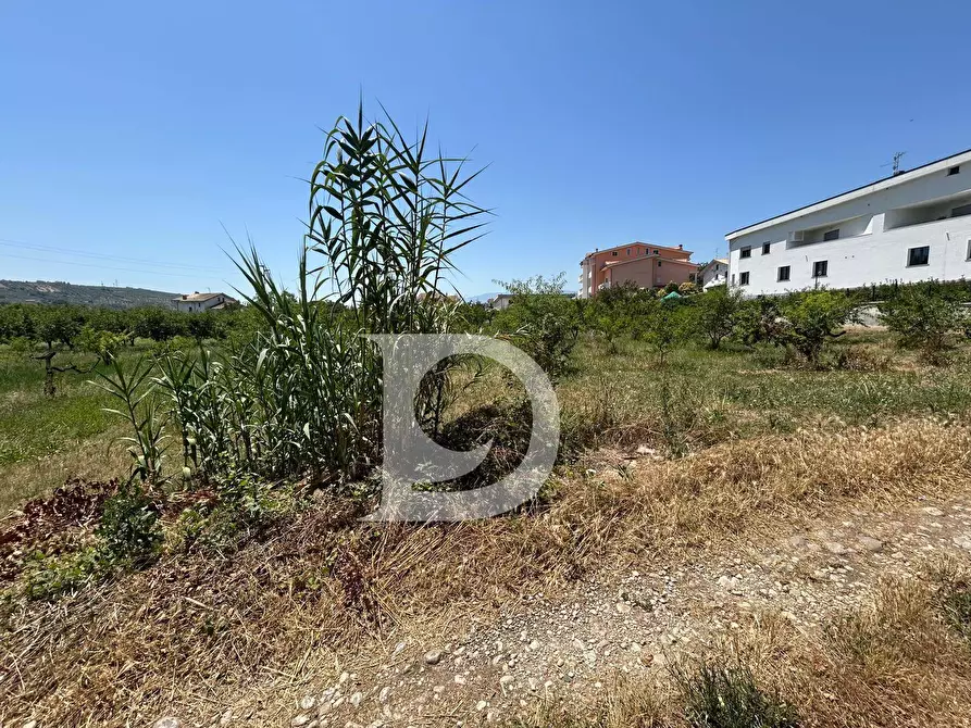 Immagine 8 di Terreno residenziale in vendita  a Collecorvino