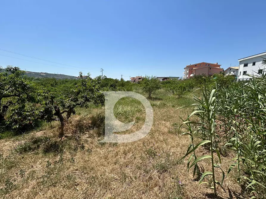 Immagine 10 di Terreno residenziale in vendita  a Collecorvino