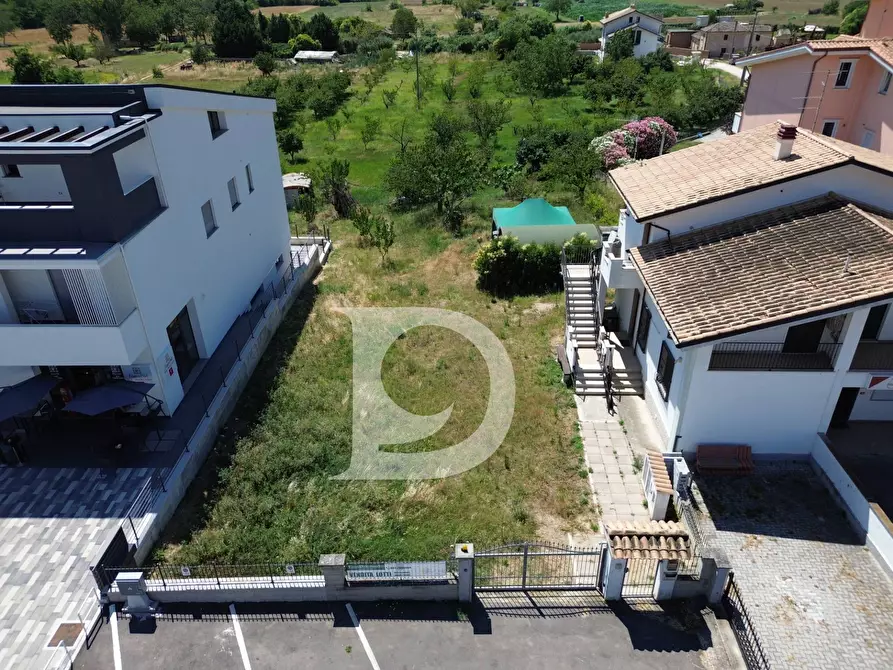 Immagine 13 di Terreno residenziale in vendita  a Collecorvino