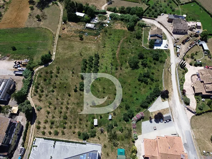 Immagine 2 di Terreno residenziale in vendita  a Collecorvino