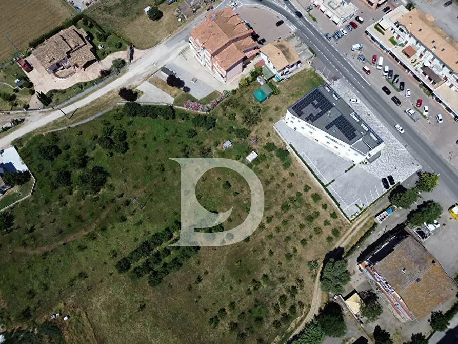 Immagine 15 di Terreno residenziale in vendita  a Collecorvino