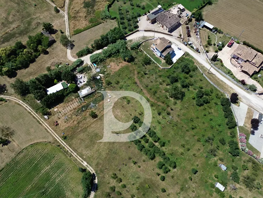 Immagine 16 di Terreno residenziale in vendita  a Collecorvino