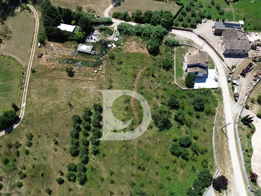 Immagine 1 di Terreno residenziale in vendita  a Collecorvino