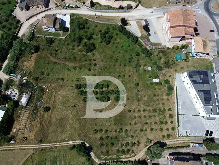 Immagine 4 di Terreno residenziale in vendita  a Collecorvino