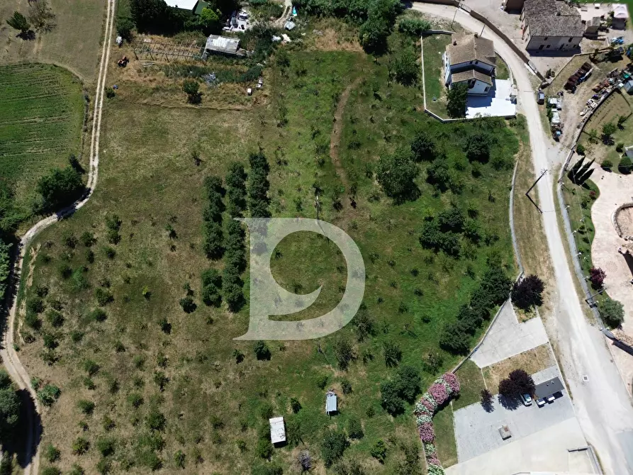 Immagine 8 di Terreno residenziale in vendita  a Collecorvino