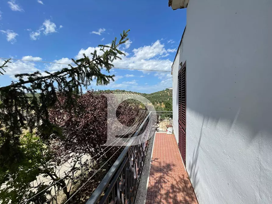 Immagine 27 di Casa semindipendente in vendita  in Contrada COLLEPALMA 6/7 a Loreto Aprutino