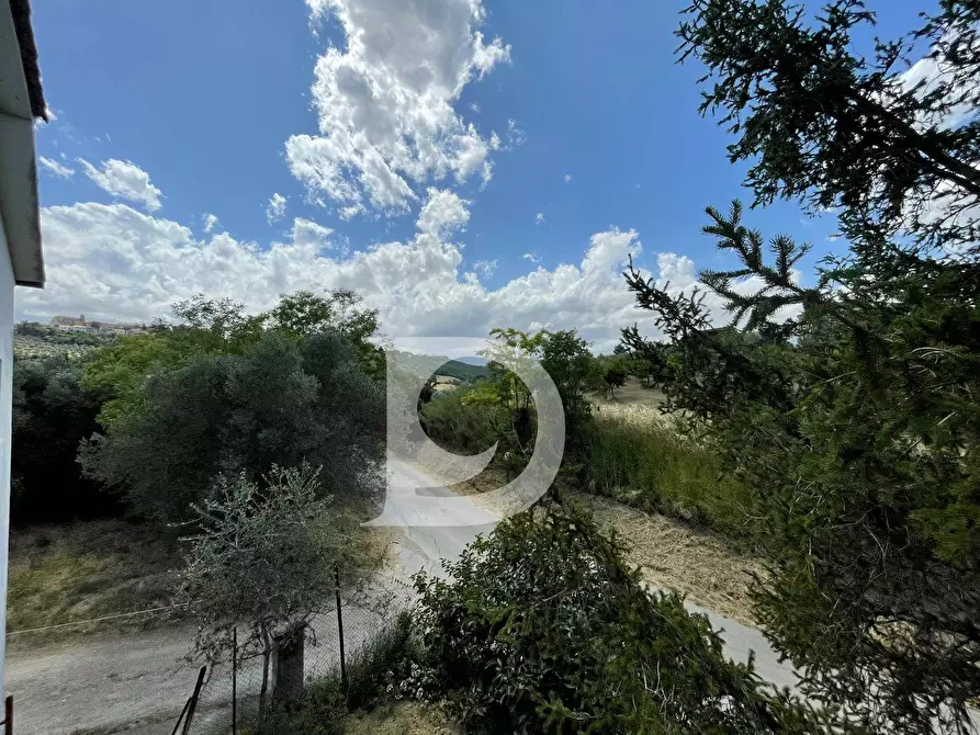 Immagine 29 di Casa semindipendente in vendita  in Contrada COLLEPALMA 6/7 a Loreto Aprutino