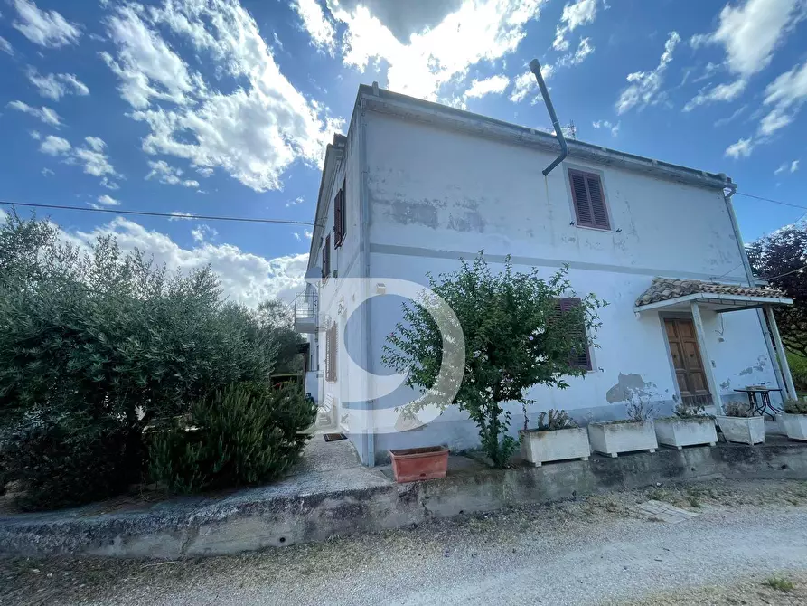 Immagine 44 di Casa semindipendente in vendita  in Contrada COLLEPALMA 6/7 a Loreto Aprutino