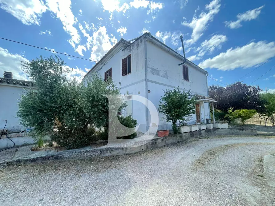 Immagine 45 di Casa semindipendente in vendita  in Contrada COLLEPALMA 6/7 a Loreto Aprutino