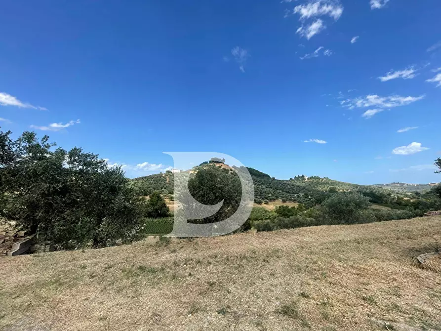Immagine 2 di Casa semindipendente in vendita  in Contrada COLLEPALMA 6/7 a Loreto Aprutino