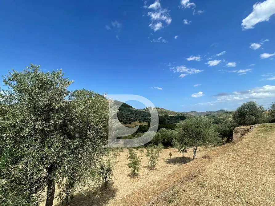 Immagine 46 di Casa semindipendente in vendita  in Contrada COLLEPALMA 6/7 a Loreto Aprutino