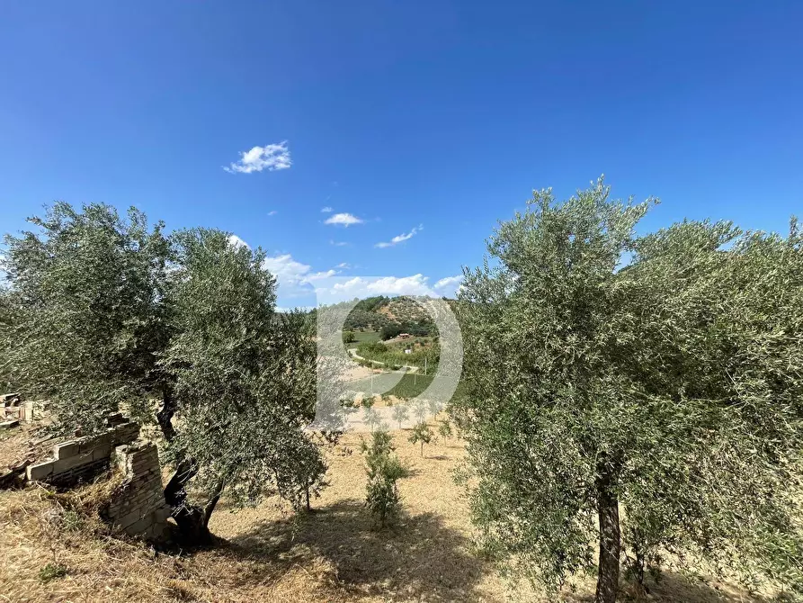 Immagine 6 di Casa semindipendente in vendita  in Contrada COLLEPALMA 6/7 a Loreto Aprutino