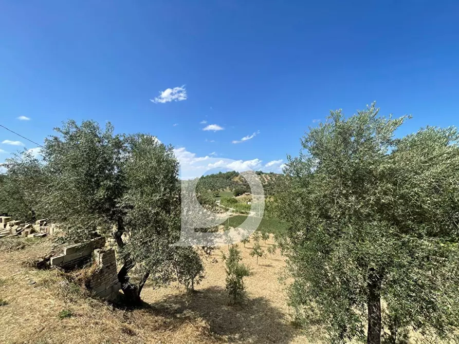 Immagine 47 di Casa semindipendente in vendita  in Contrada COLLEPALMA 6/7 a Loreto Aprutino