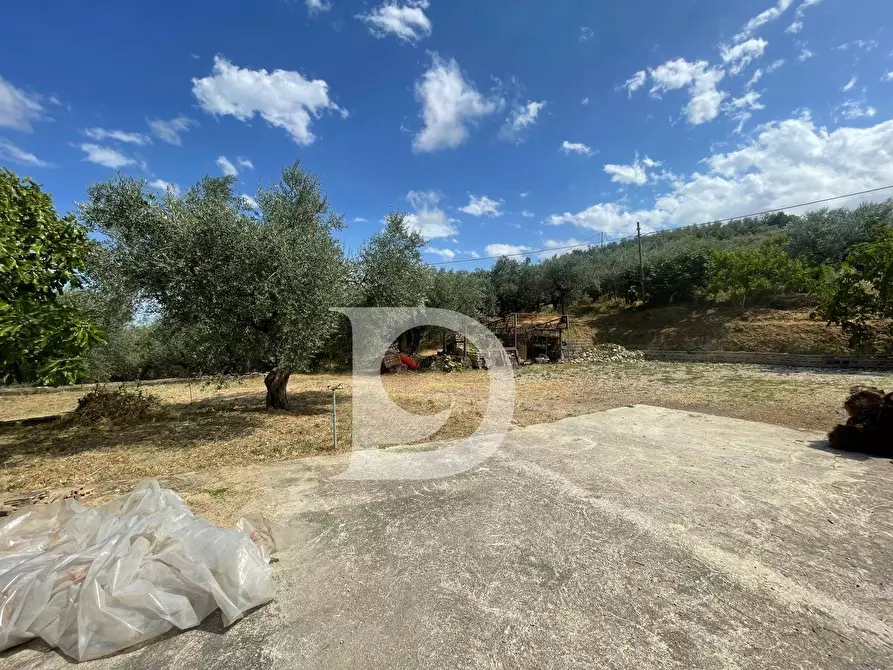 Immagine 48 di Casa semindipendente in vendita  in Contrada COLLEPALMA 6/7 a Loreto Aprutino