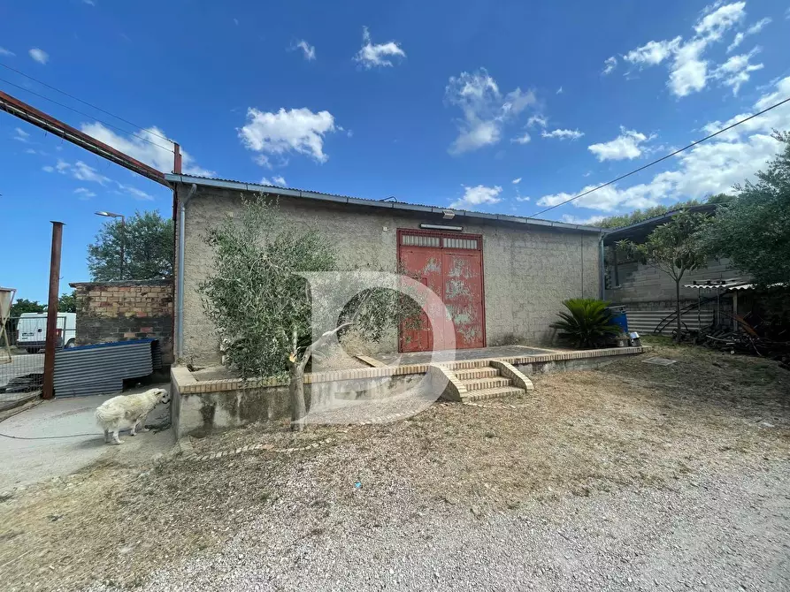 Immagine 49 di Casa semindipendente in vendita  in Contrada COLLEPALMA 6/7 a Loreto Aprutino