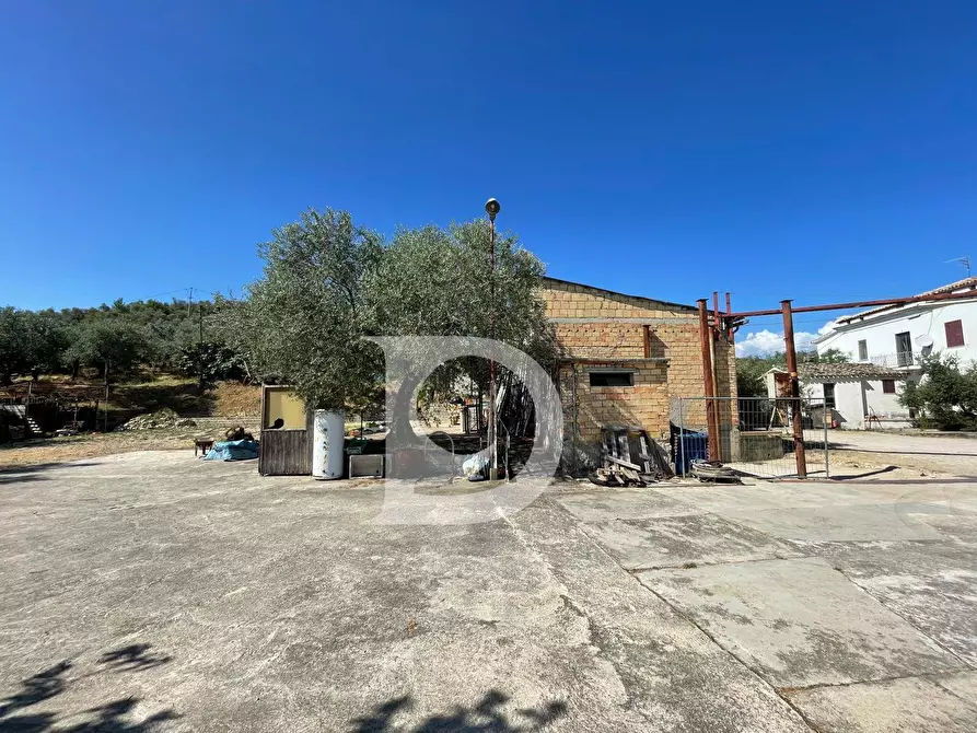 Immagine 50 di Casa semindipendente in vendita  in Contrada COLLEPALMA 6/7 a Loreto Aprutino