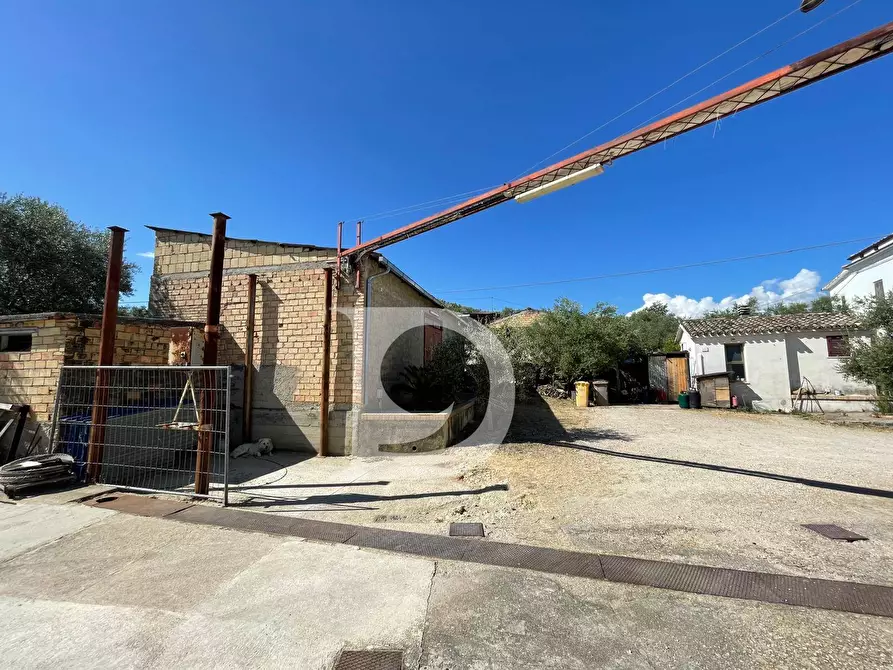 Immagine 52 di Casa semindipendente in vendita  in Contrada COLLEPALMA 6/7 a Loreto Aprutino